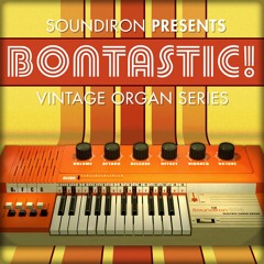 Ben Rabenold - Precenphix (naked) - Soundiron Bontastic