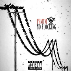 PRMTM - No Flocking Freestyle
