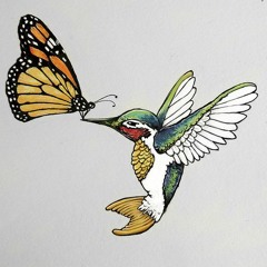 imago