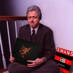 swans