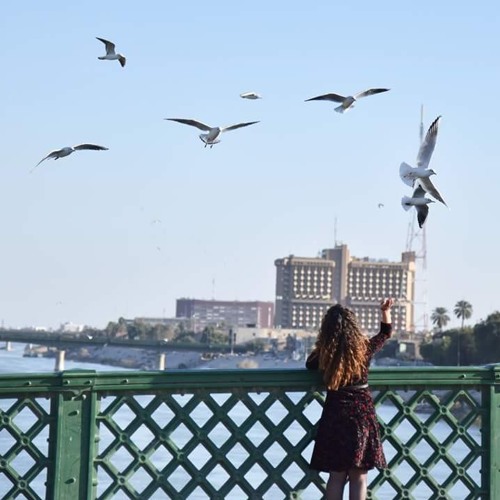 جي مالي والي - أصيل هميم