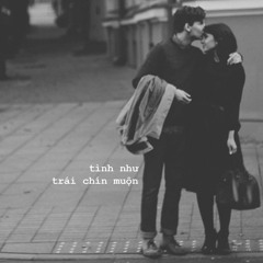 Tình Như Trái Chín Muộn - Vy Vy