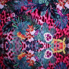 Delicatesse For Your Ears #23