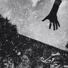 Pacifier -Catfish and the Bottlemen (Ukulele Cover by Qü)