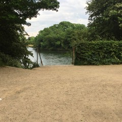 Culture Creek