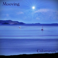 Mooving ... (Back from an inspiring journey)