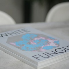 [013] Art, Magazines and Noise with White Fungus Editor Ron Hanson