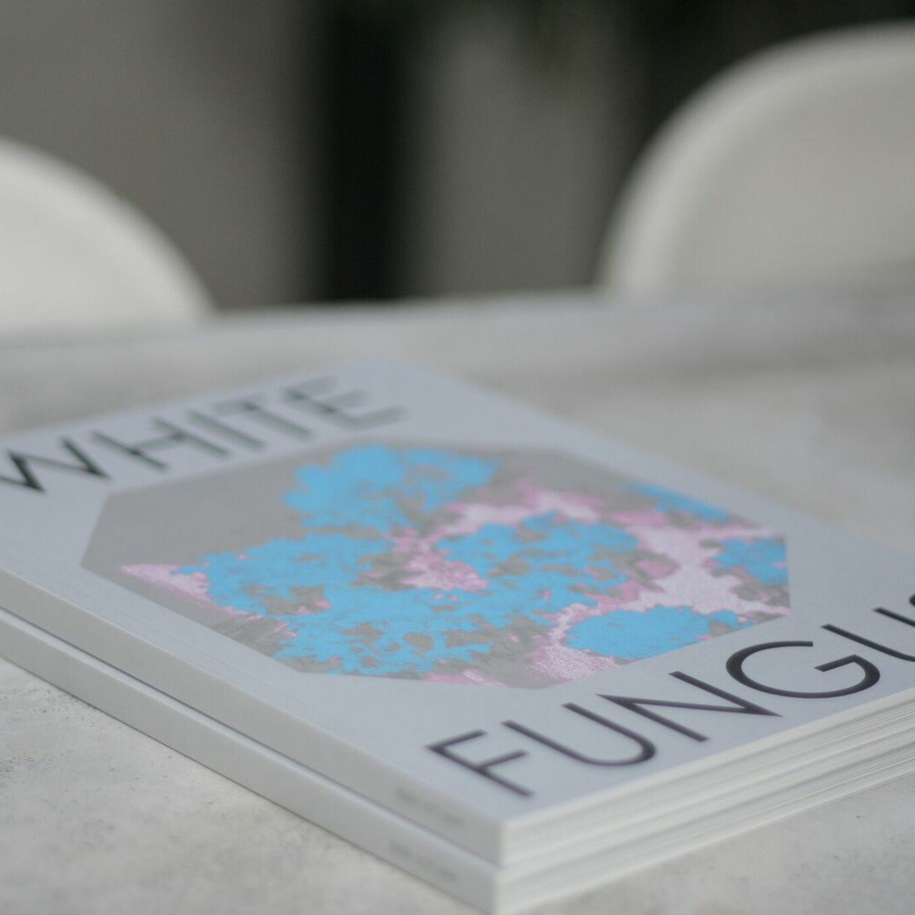 [013] Art, Magazines and Noise with White Fungus Editor Ron Hanson