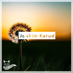 Joakim Karud - Summer Vibes - Royalty Free Vlog Music [BUY=FREE]