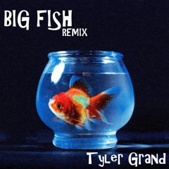 Vince Staples - Big Fish (remix)