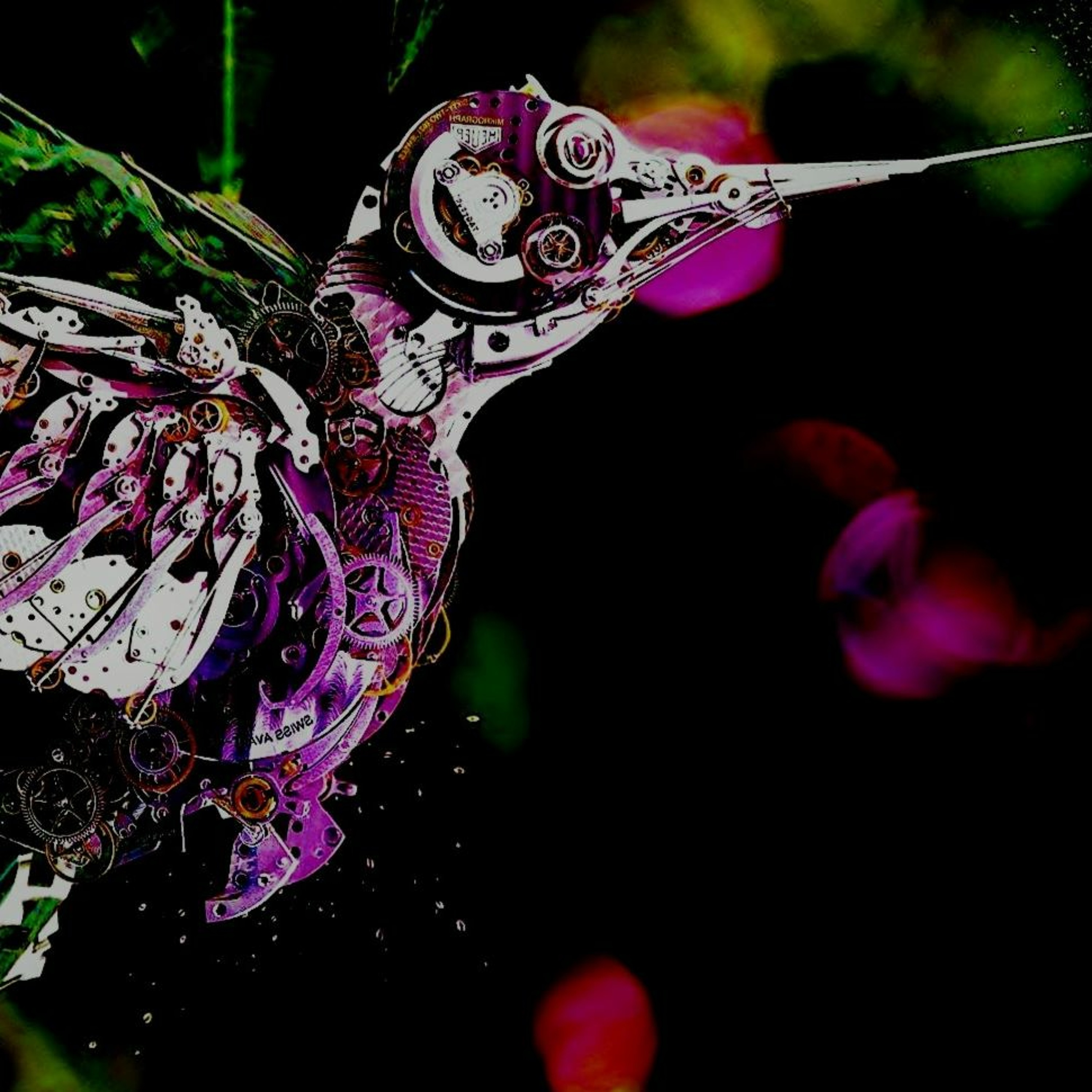 Digital Kolibri [Deep] episode artwork