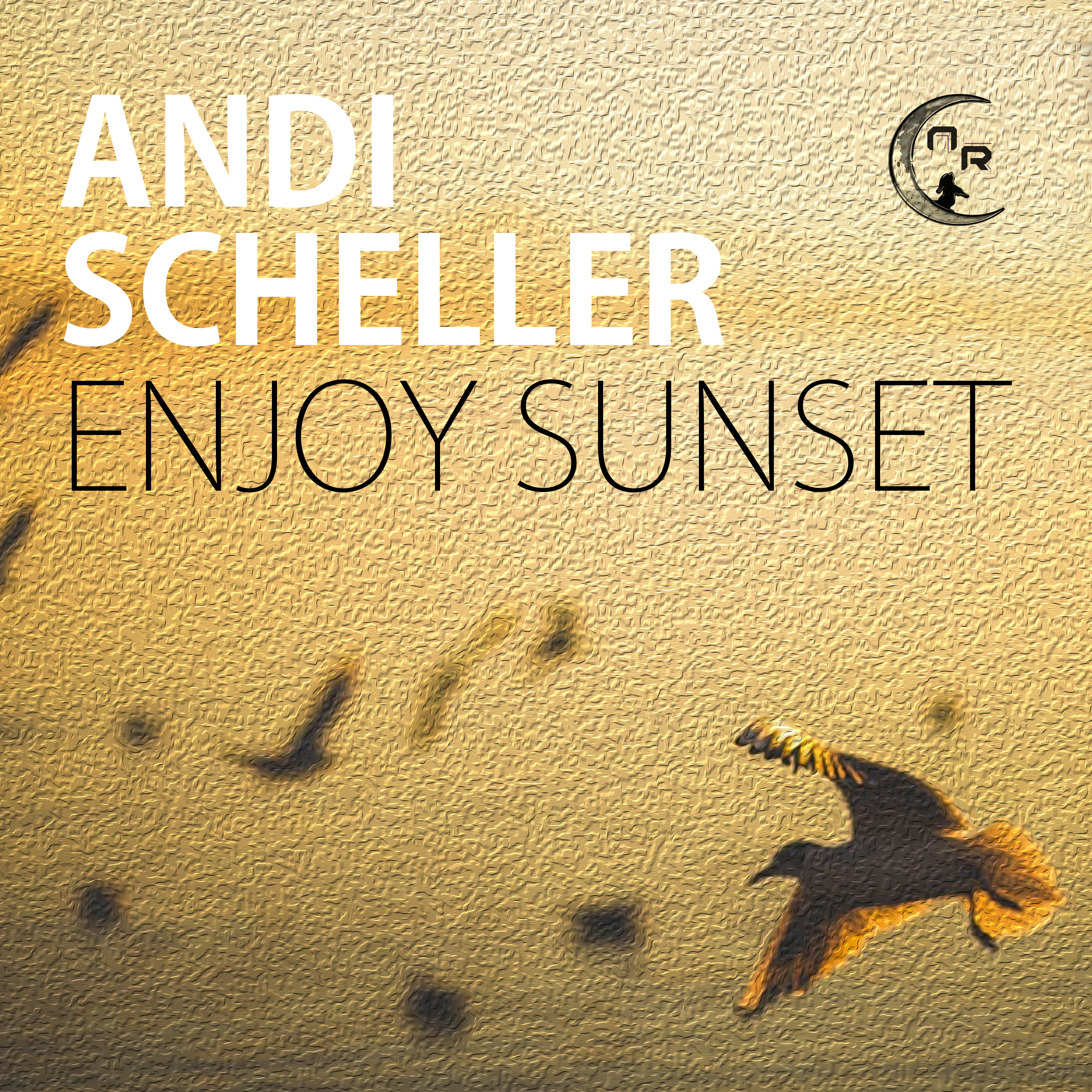 Nachtwandler Records