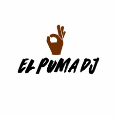 Stream Salsa Mambo Mix 1 By El Puma Dj by EL PUMA DJ | Listen online for  free on SoundCloud