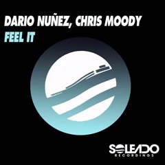 Feel It - Dario Nunez & Chris Moody (Free Download)