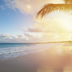 Silent Storm - Hello Summer