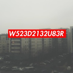 W523D2132U83R