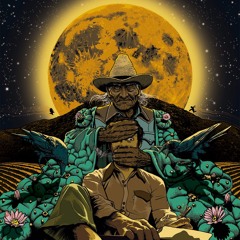 Don Juan's Teachings