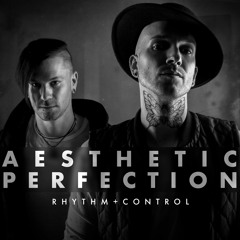 Aesthetic Perfection - Rhythm + Control ft. Jinxx (Black Veil Brides), William Control and Nyxx
