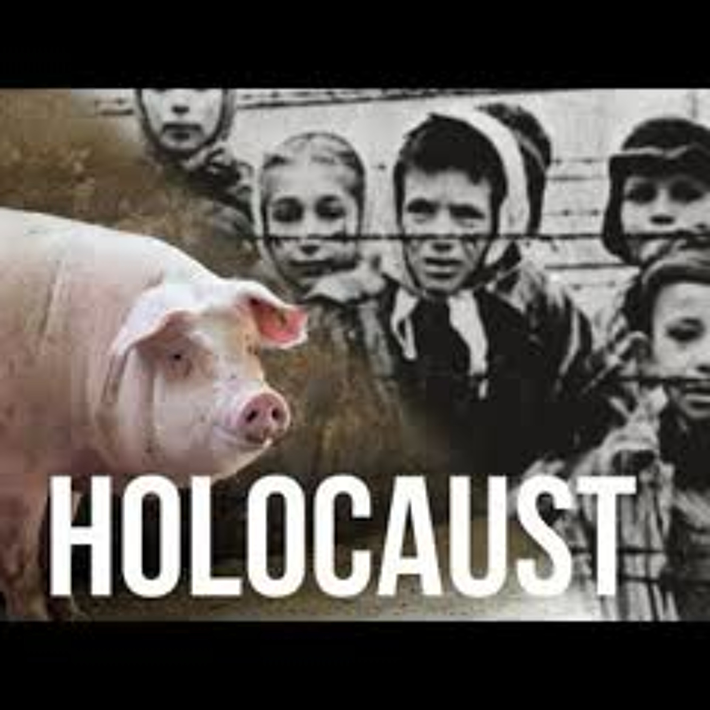 A HOLOCAUST SURVIVOR, Now VEGAN Activist - Is There A Line Between Animal And Human Suffering