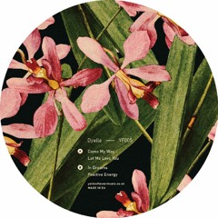 YF005 - Dyalla - In Dreams