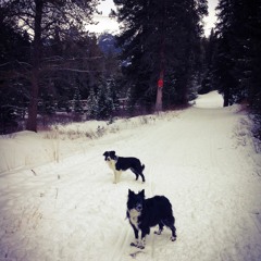 Summer 2017 Promo Continuous Mix