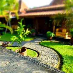 Indonesia Field Recordings 2017