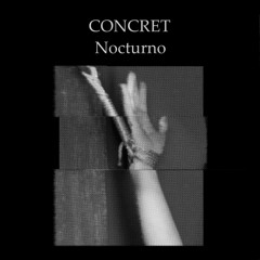 PRÉMIÈRE: Concret feat. Bastard Love - Nocturno (Zombies in Miami Remix)[Nein]
