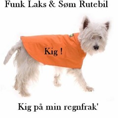 Hashiagama - Kig på min regnfrak'