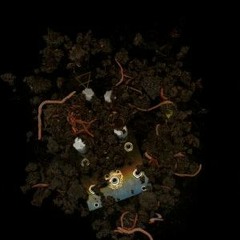 ERD/WORM pre release [003]