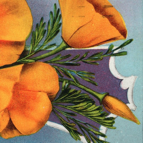 I Feel When You Want Me