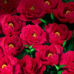 real (feat. Liv Stockton)