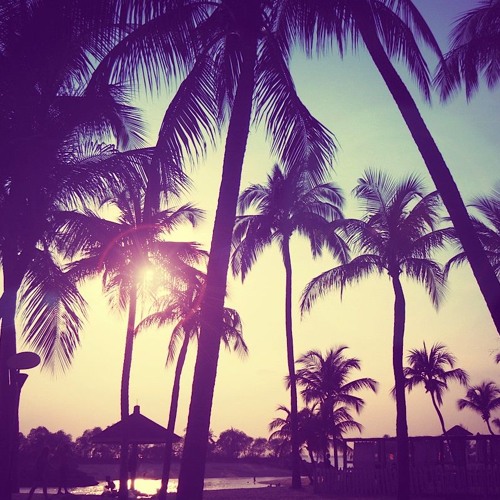 Eelke Kleijn | Melodic House Set In The Lab LA