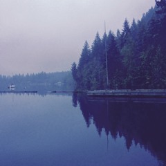 SOLSTICE DAWN CHORUS AT COMOX LAKE