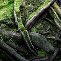 Born Twisted [new kid edit]