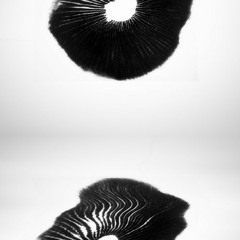 C̫͚̣̟̭̞̳̝͘a̷̴͖͙͇̺͖̲͚̪r̦i͘͏̨̰̜͈̙̼͎m̩b̘͔̺͜o̟̪̲̰̮̰͇͜͝