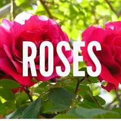 Roses - C.S.O.M Beats
