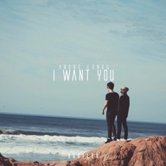 Chris Lake - I Want You (Andre Longo Bootleg)