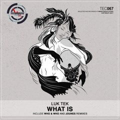 Luk Tek - What Is (Jounes Remix)