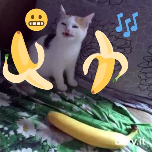 Cat No like the # Banana