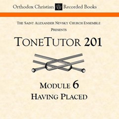 Automelon "Having Placed"