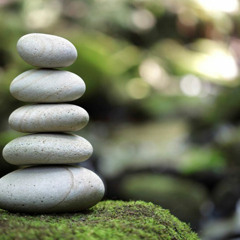 zen - Sampson  x Patches