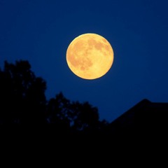 Mondschein - SolidBeatZ