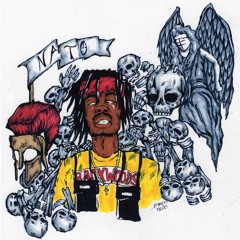 WAVES TO GRAVES Ft. Famous Dex(prod. ELF + ChrisSurreal)