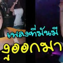 Burn IT Down Remix เพลงที่มันมีงูออกมา