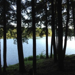 The Untold Truth ft. Jmizzle, D-Smoove, A-Snap (Prod. G-Money)