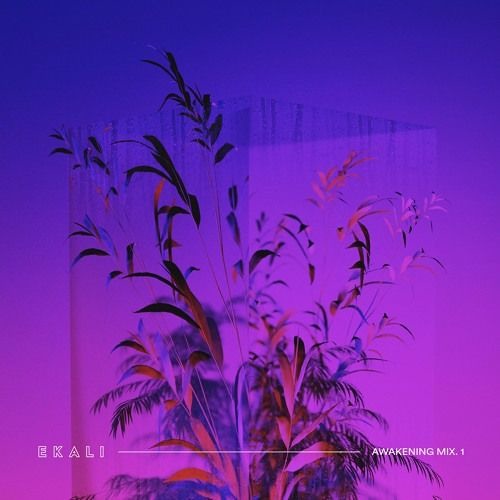 Sumthin Sumthin & What So Not - Bloom x Jaguar (Ekali Mashup)