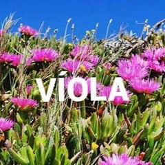 VIOLA : Se'ana Prod:ANNONXL