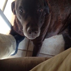 STAGES OF SLEEP DEMO