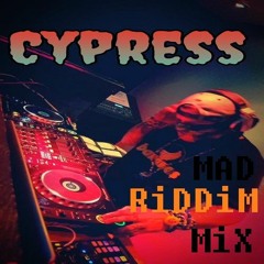 MaD RiDDiM MiX (Click Buy For Free Download)