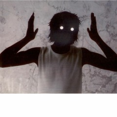 new fly